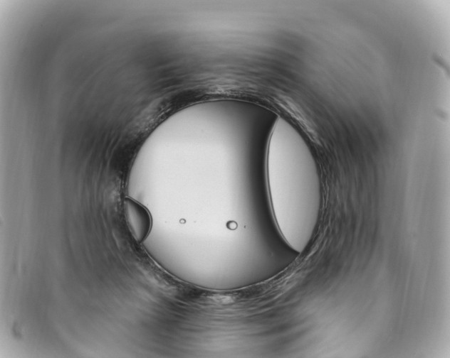 X0000094230265200710261019