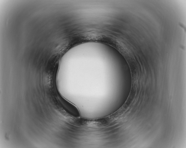 X0000094230268200710261020