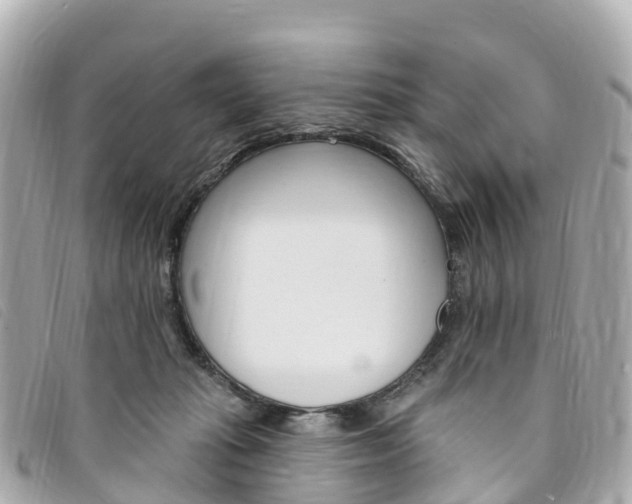 X0000094230269200710261020