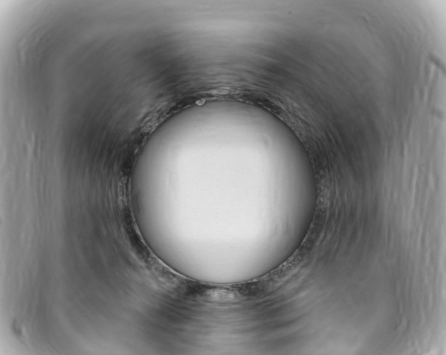 X0000094230272200710261020