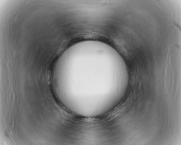 X0000094230273200710261020