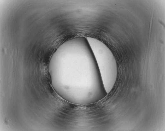 X0000094230276200710261020