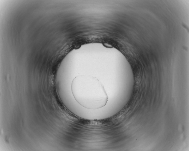 X0000094230278200710261020