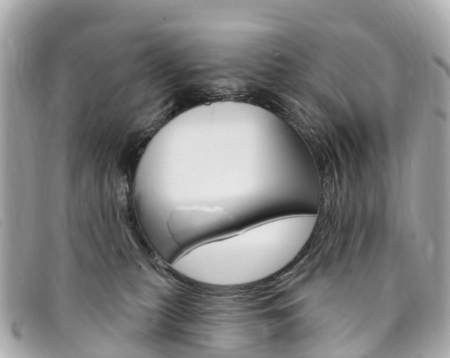 X0000094230279200710261020