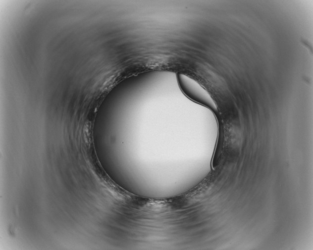 X0000094230280200710261020