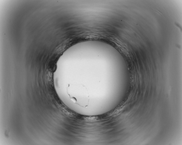 X0000094230281200710261020