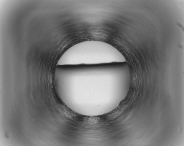 X0000094230282200710261020