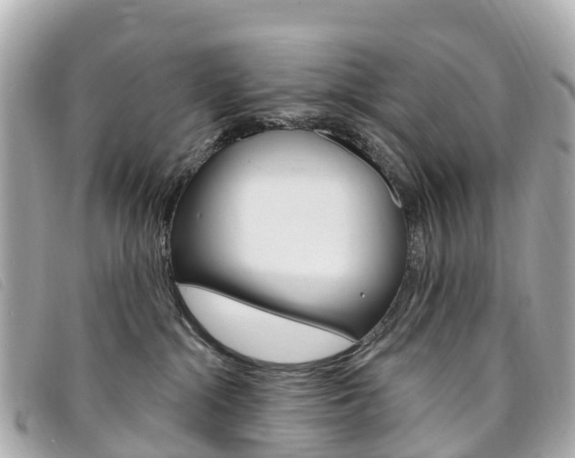 X0000094230284200710261020