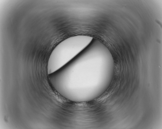 X0000094230286200710261020