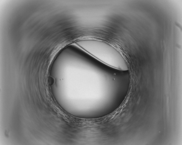 X0000094230289200710261019