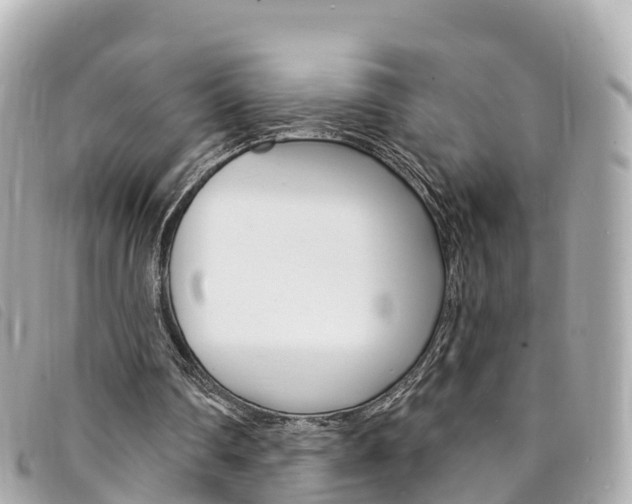 X0000094230290200710261019