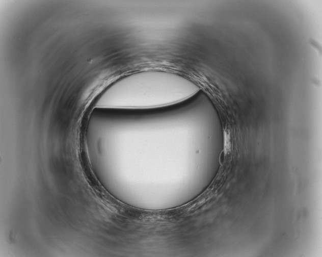 X0000094230291200710261019