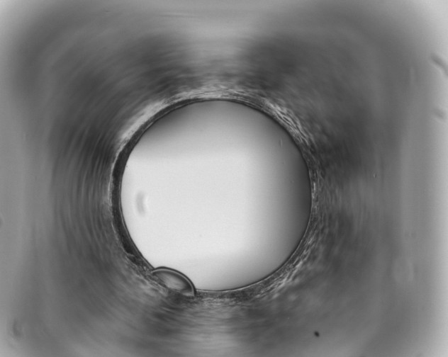 X0000094230292200710261019