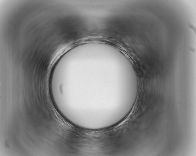 X0000094230293200710261019