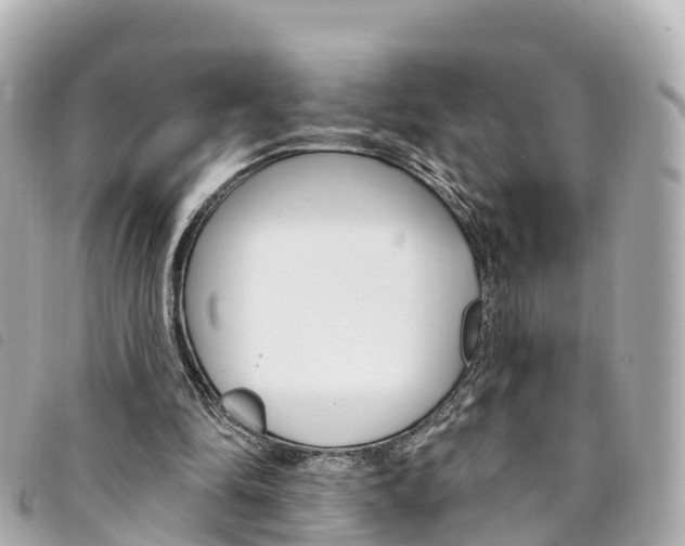 X0000094230294200710261019