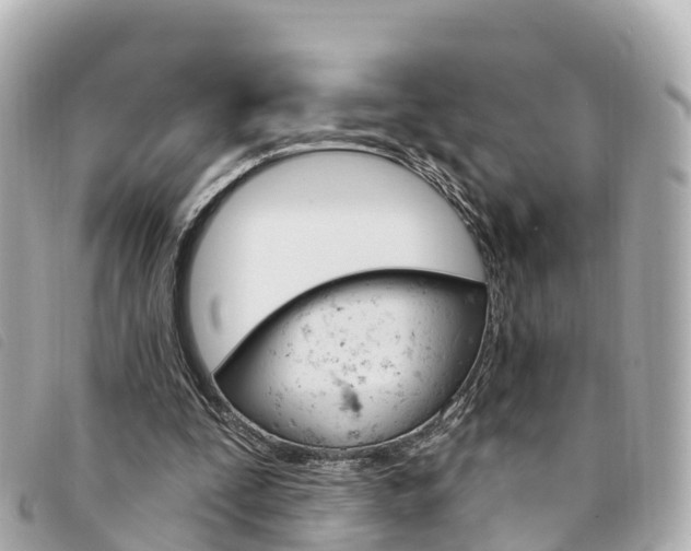 X0000094230295200710261019