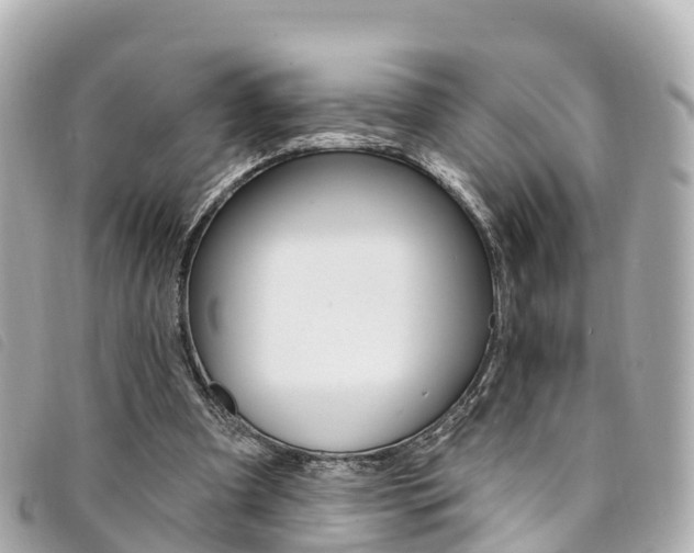 X0000094230297200710261019