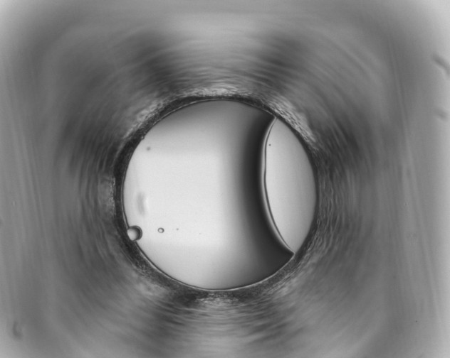 X0000094230300200710261019