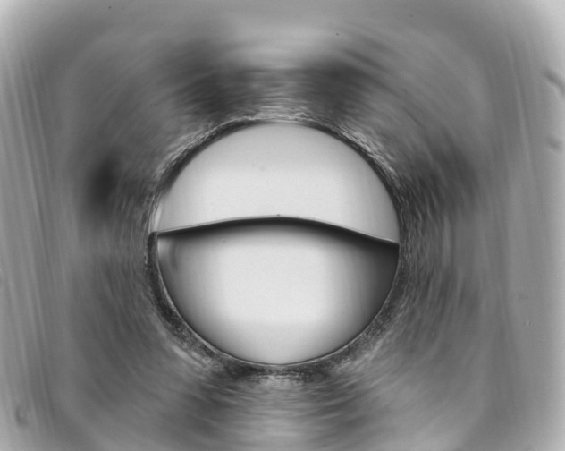 X0000094230303200710261019