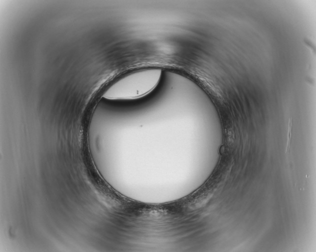 X0000094230304200710261019