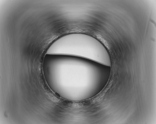 X0000094230305200710261019