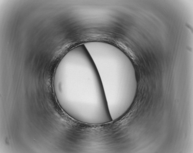 X0000094230306200710261019