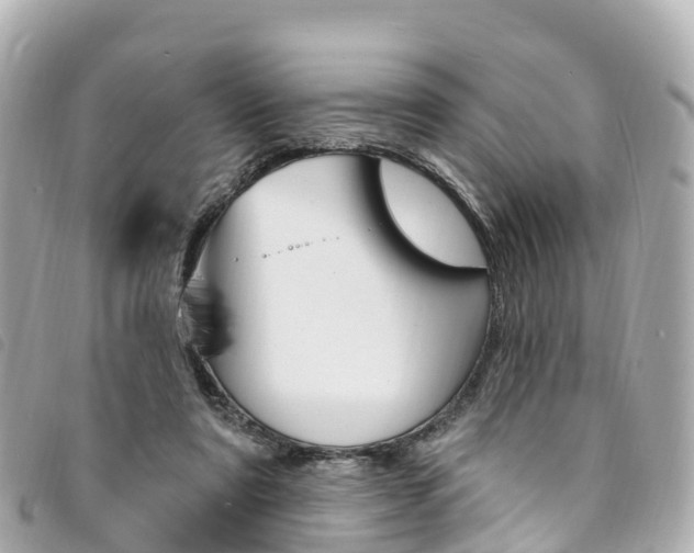X0000094230307200710261019