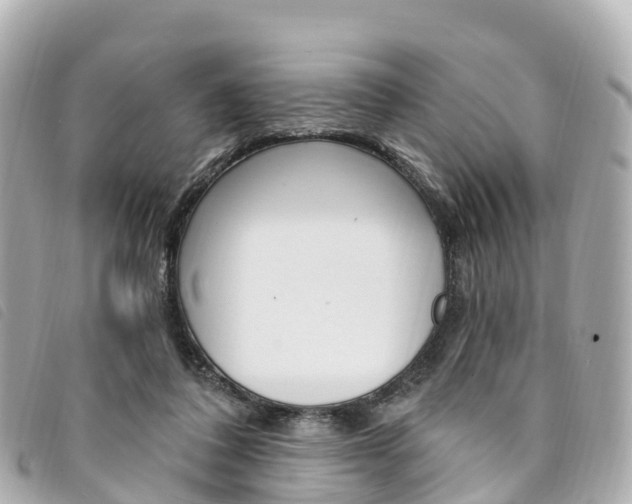 X0000094230308200710261019