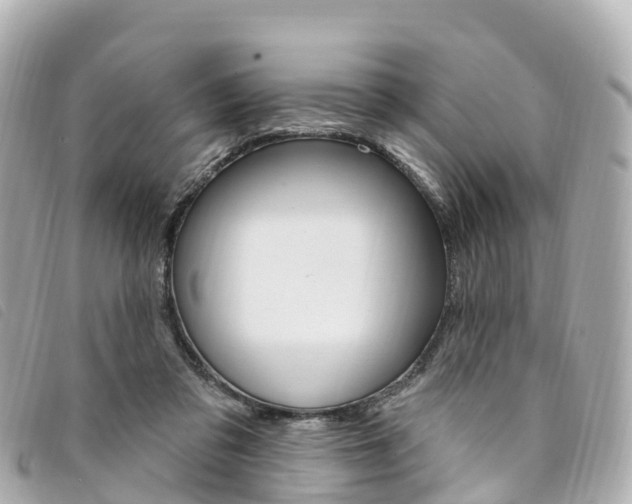 X0000094230309200710261019