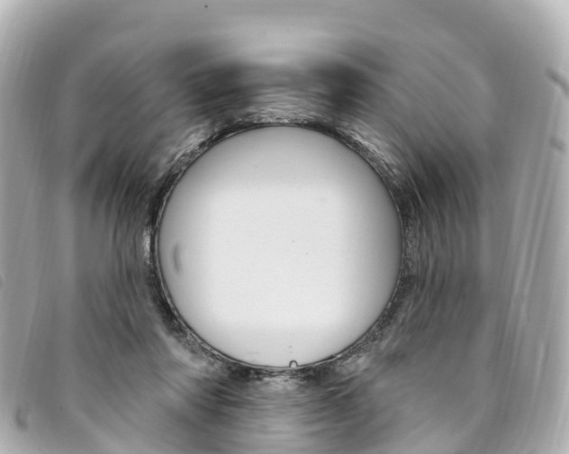 X0000094230310200710261019