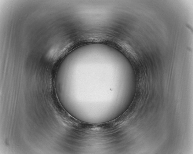 X0000094230312200710261019