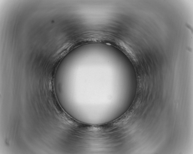 X0000094230313200710261019