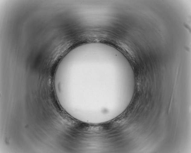 X0000094230314200710261019