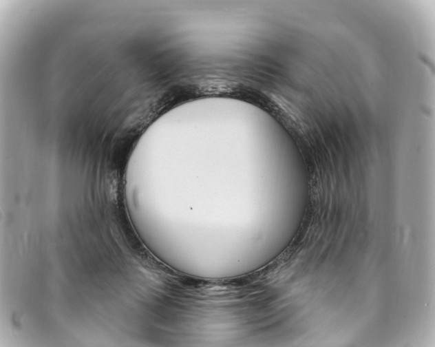 X0000094230315200710261019