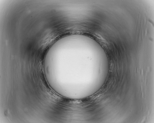 X0000094230318200710261019