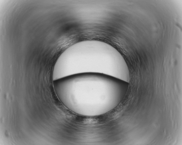 X0000094230319200710261019