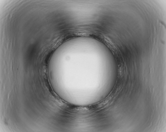X0000094230322200710261019