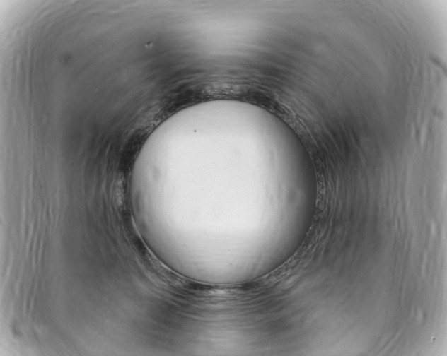 X0000094230323200710261019