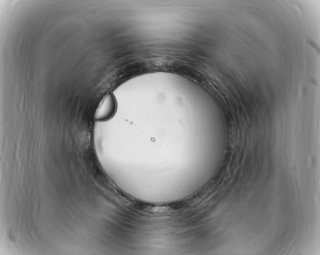 X0000094230324200710261019