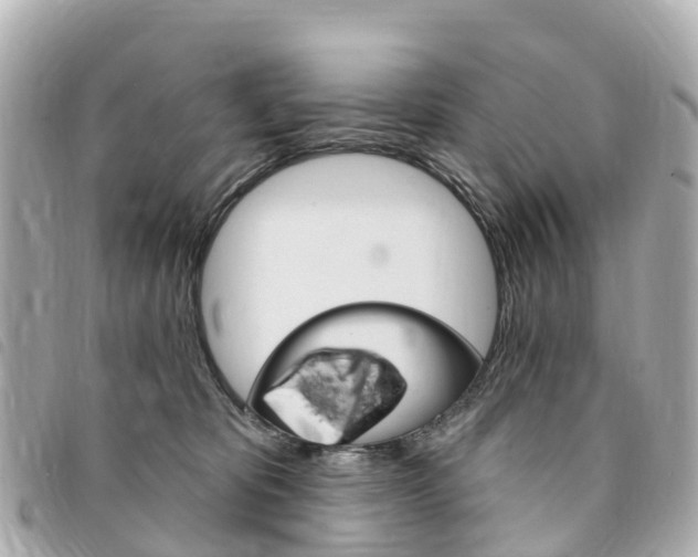 X0000094230325200710261019
