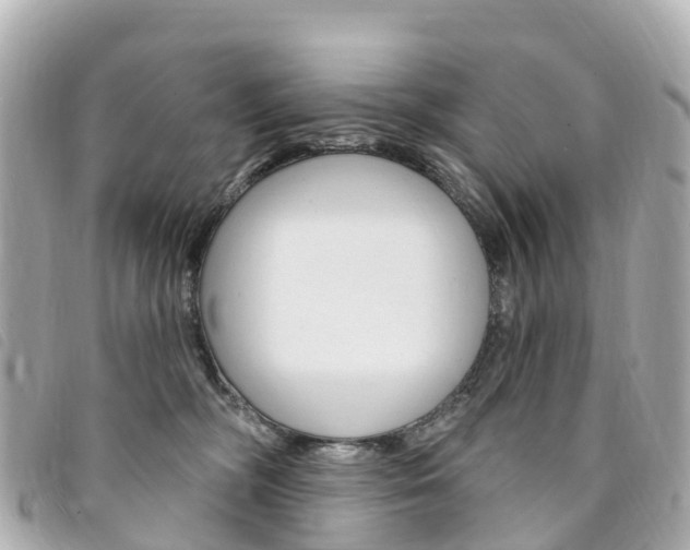 X0000094230326200710261019