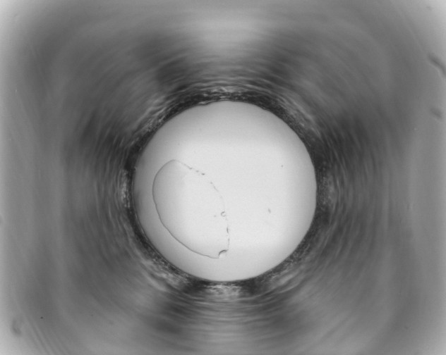 X0000094230328200710261019