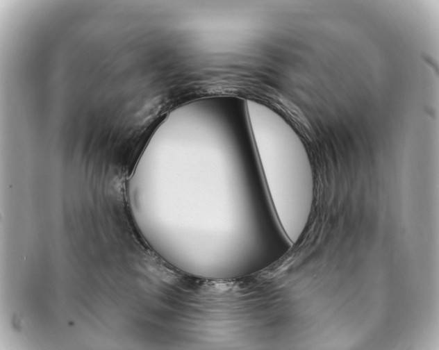 X0000094230329200710261019
