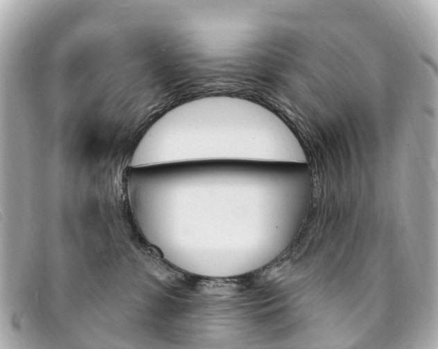 X0000094230331200710261019
