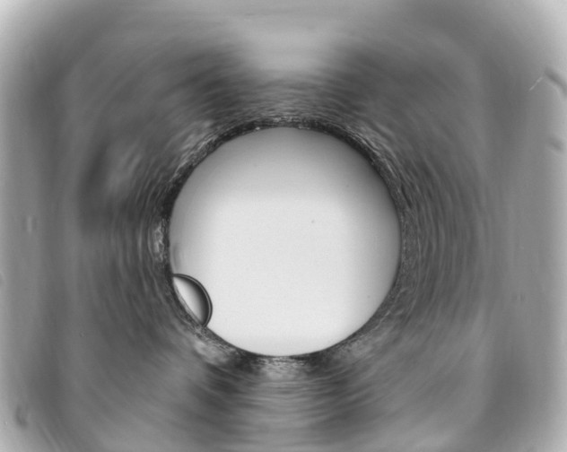 X0000094230336200710261018