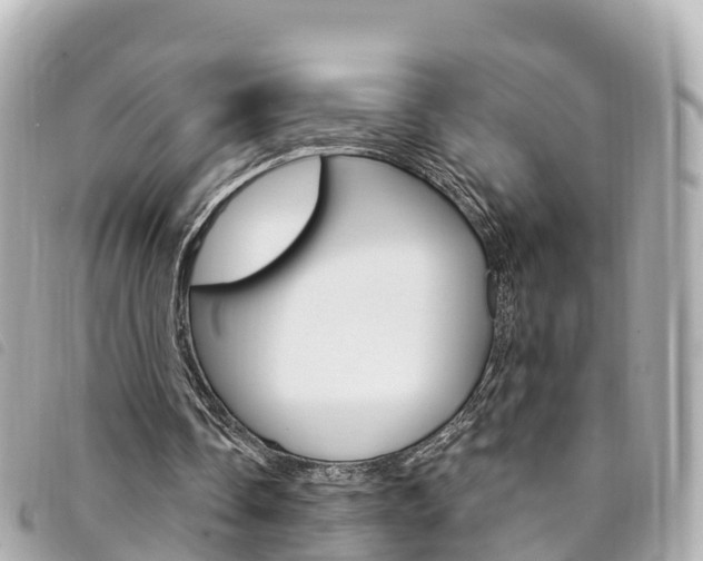 X0000094230338200710261018
