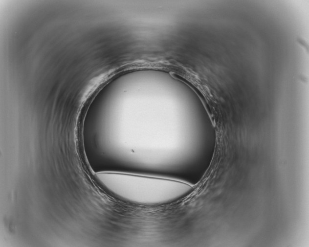 X0000094230340200710261018