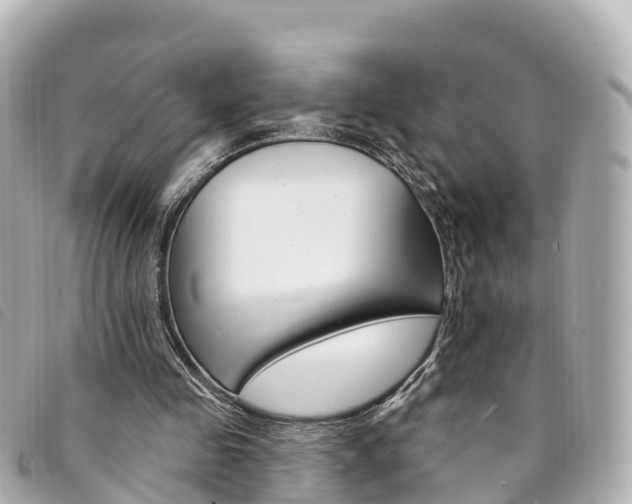 X0000094230341200710261018