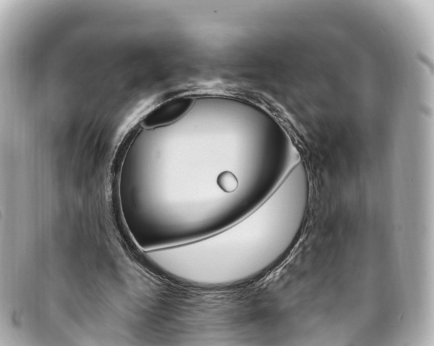 X0000094230344200710261018