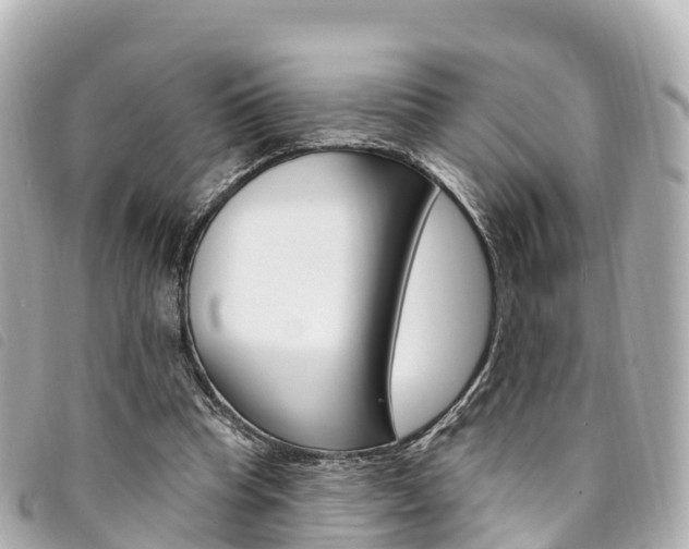X0000094230345200710261018